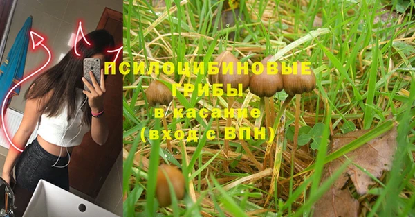 гашишное масло Дмитровск