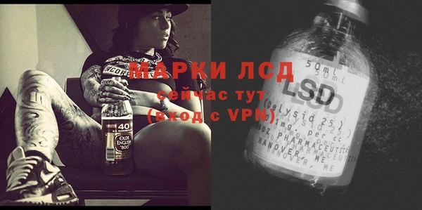 индика Алексеевка